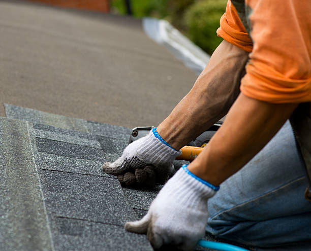 Best Roof Gutter Cleaning  in Normal, IL